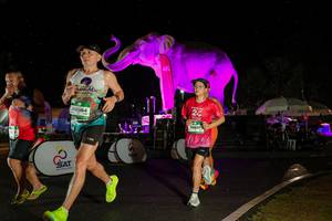 BIB: 
                            <button type="button" onclick="openModal(26543091)" class="btn btn-primary btn-sm float-right btn-popup" data-toggle="modal" data-target=".modal-high-quality">
                        <i class="fas fa-shopping-cart"></i> Add to Cart
                    </button>
                                            <button type="button" onclick="isThisMe(26543091, true)" class="btn btn-success btn-sm float-right btn-popup btn-isme hidden" data-toggle="tooltip" data-placement="bottom" title="นี่คือรูปของคุณใช่ไหม คลิกที่นี่เพื่อเอาเข้าอัลบั้ม">
                        <i class="fas fa-plus"></i> Add to album
                    </button>
                    <button type="button" onclick="isThisMe(26543091, false)" class="btn btn-warning btn-sm float-right btn-popup btn-isnotme hidden">
                        <i class="fas fa-ban"></i> Remove from album
                    </button>